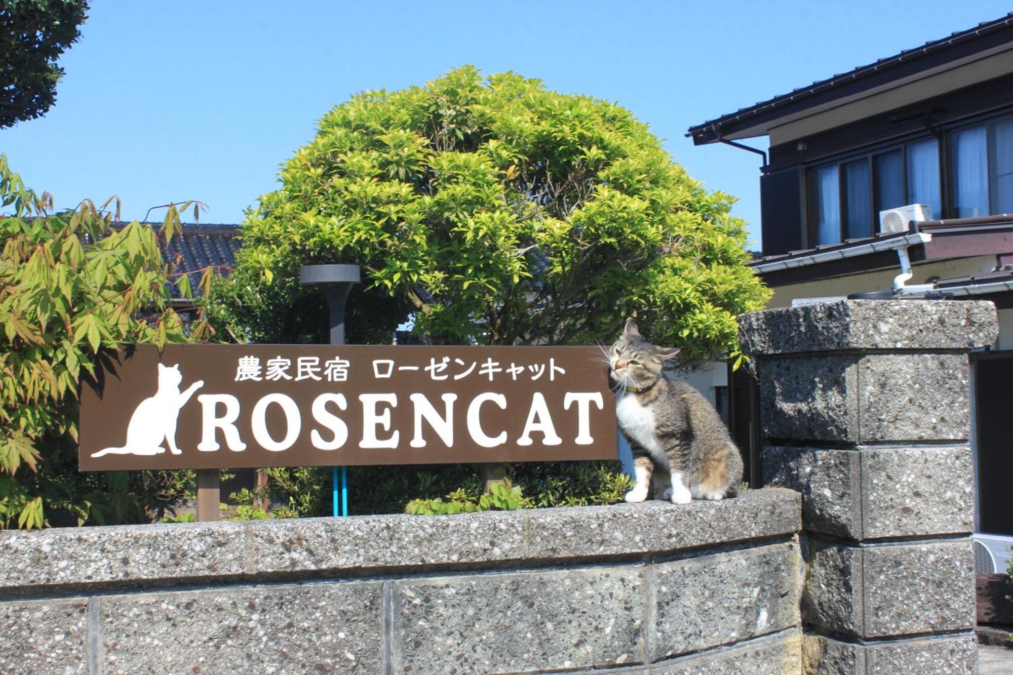 Rosencat Sado Exterior foto